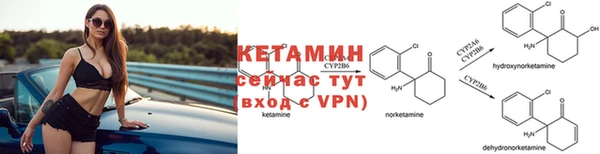 стаф Пестово