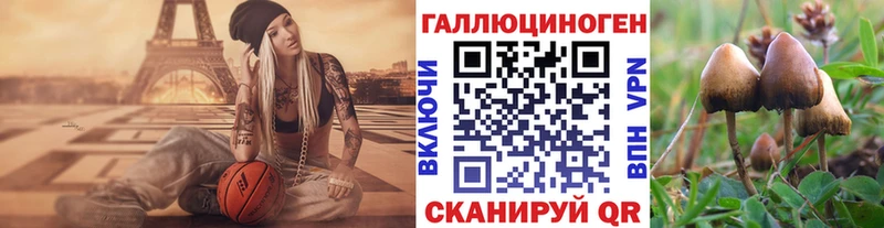 дарнет шоп  Белёв  mega рабочий сайт  Псилоцибиновые грибы GOLDEN TEACHER 