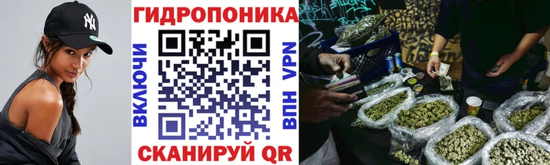 мега   Белёв  Марихуана гибрид 